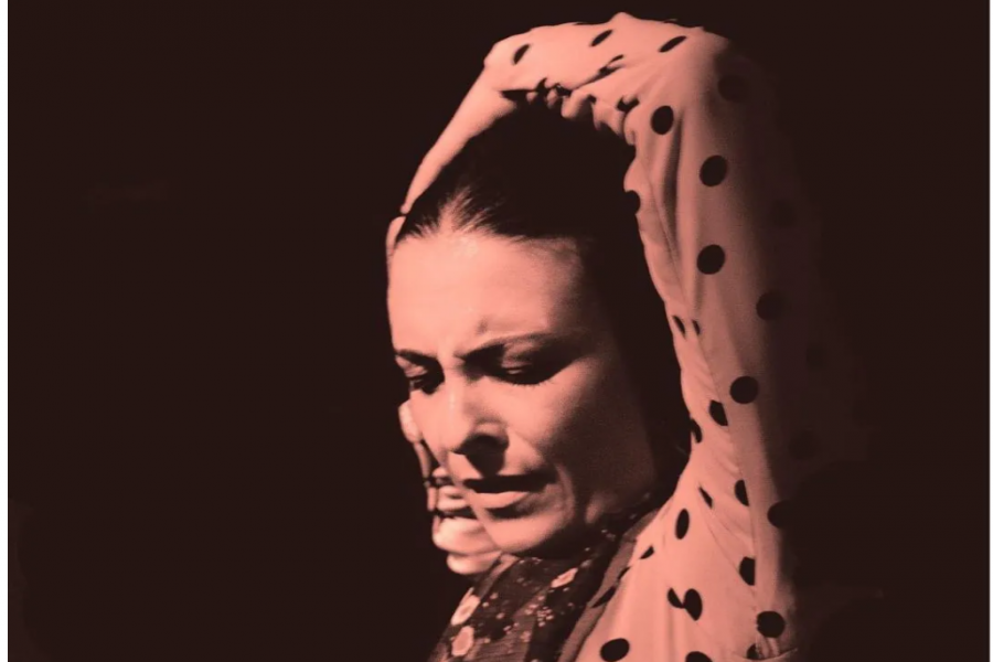 跟Carmen学习Flamenco舞蹈最重要的标记步