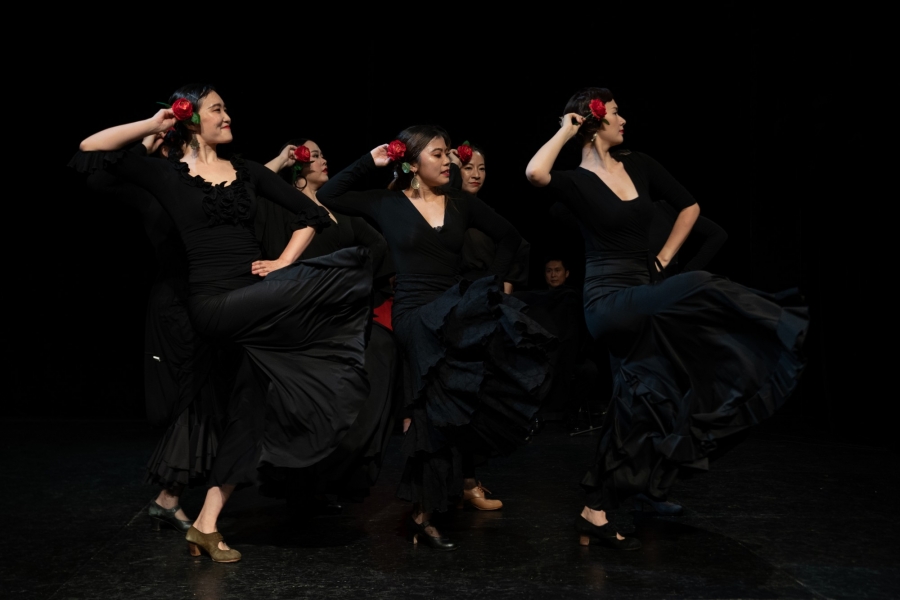 Casa Flamenco舞团招聘 Dancer Recruitment