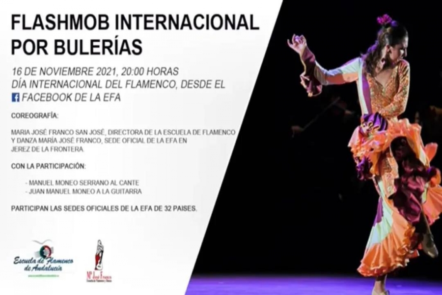 什么水平的同学可以参加国际弗拉门戈日快闪课程？